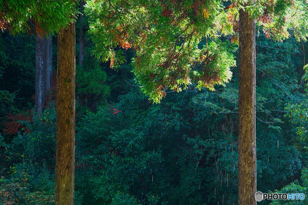 雨のち晴れ