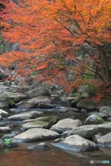 映える川面