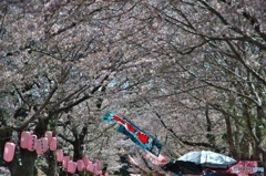 忠元トンネル