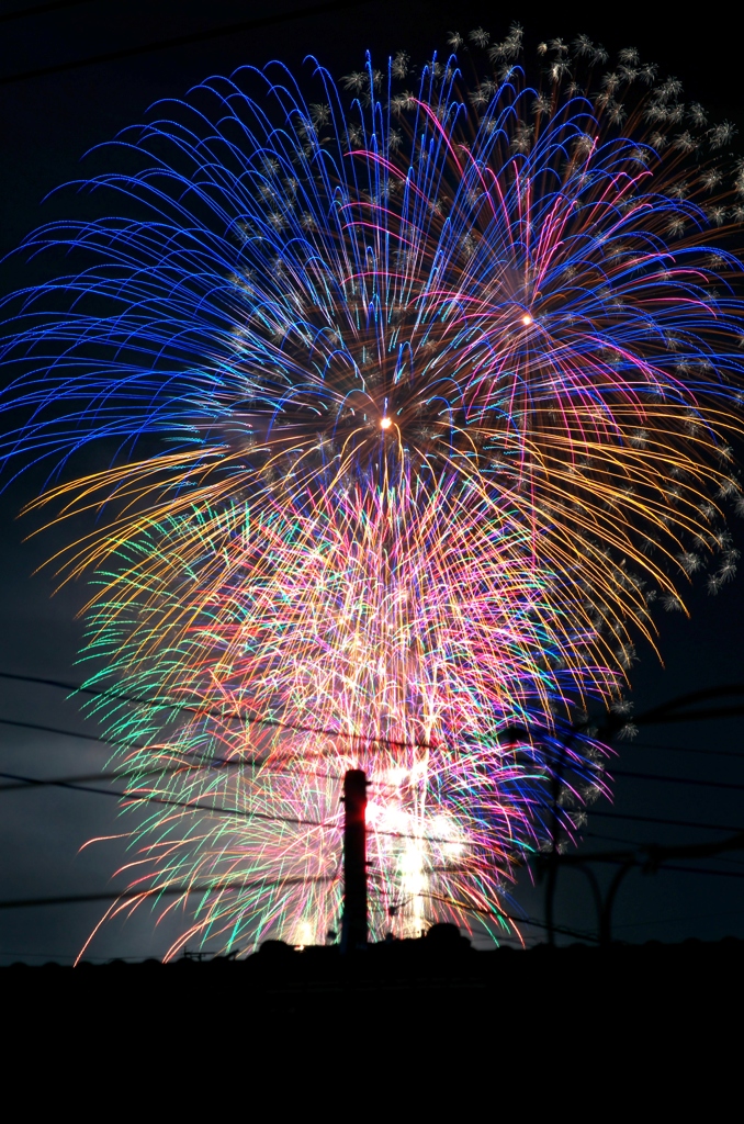 夏の彩り