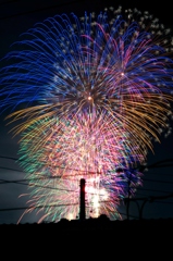 夏の彩り