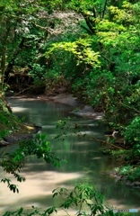 湧水渓流