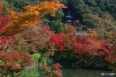 山麓の多宝塔