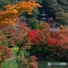 山麓の多宝塔