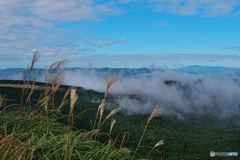 駆け抜ける山霧