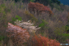 季節交代