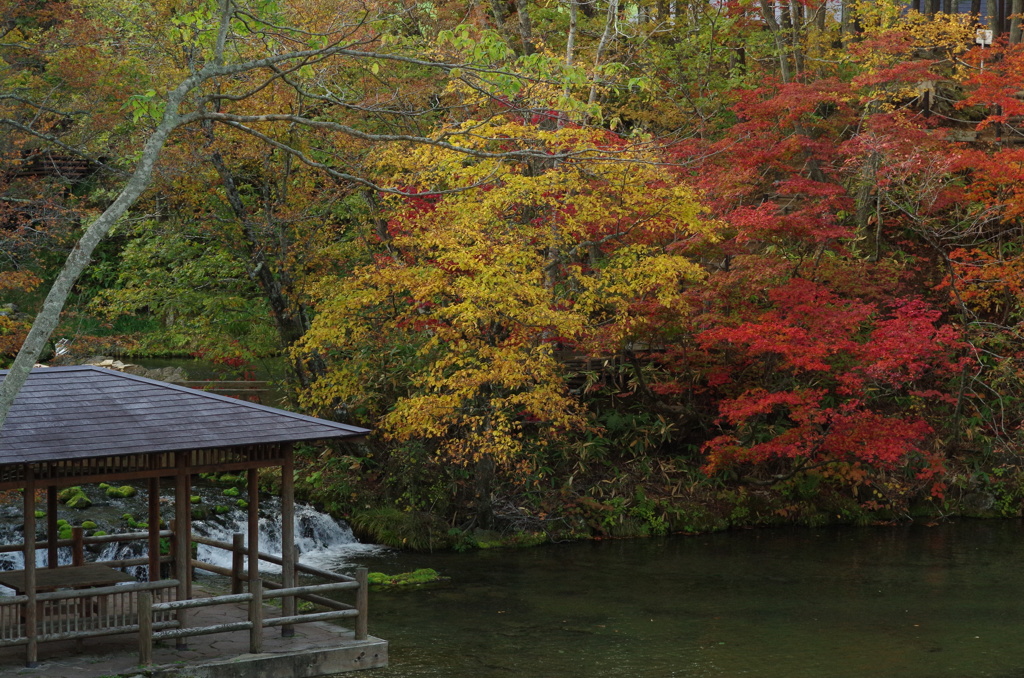 HD DA70mm試し撮り
