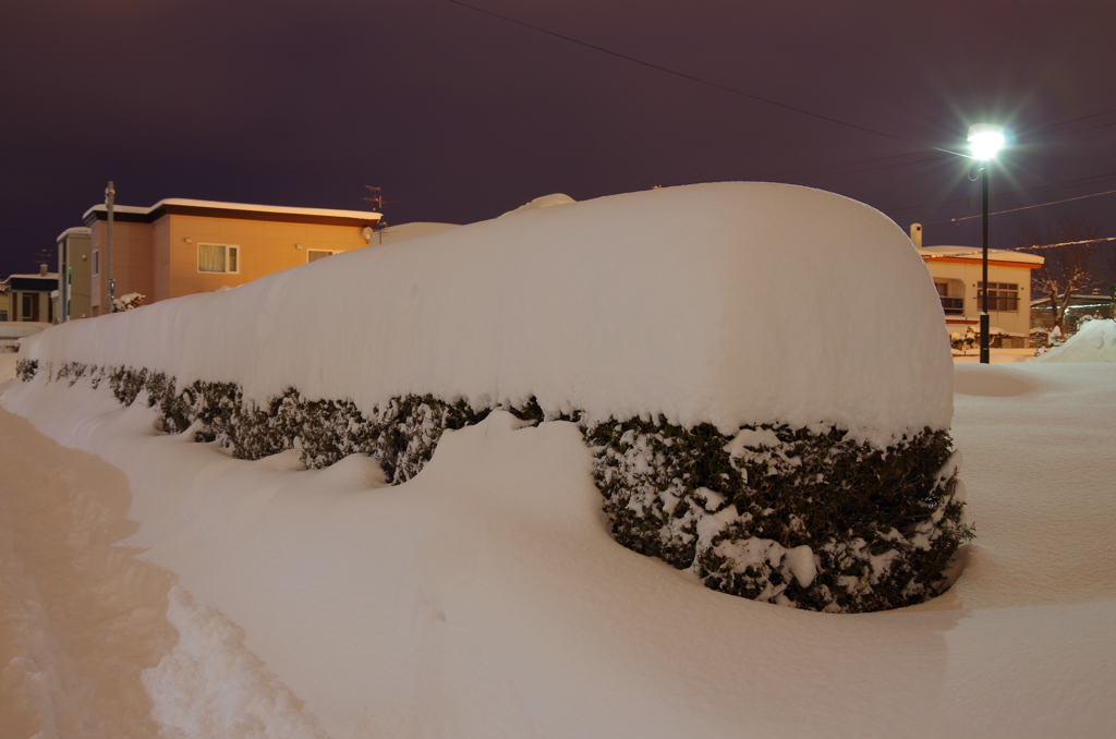 積雪量