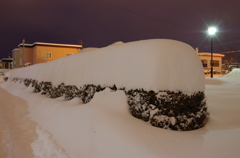 積雪量