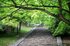 夏の風景/東大寺 鐘楼へ続く道