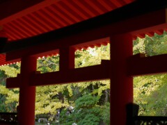 春日大社 梨木神社