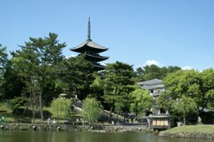 夏の風景/猿沢池から興福寺