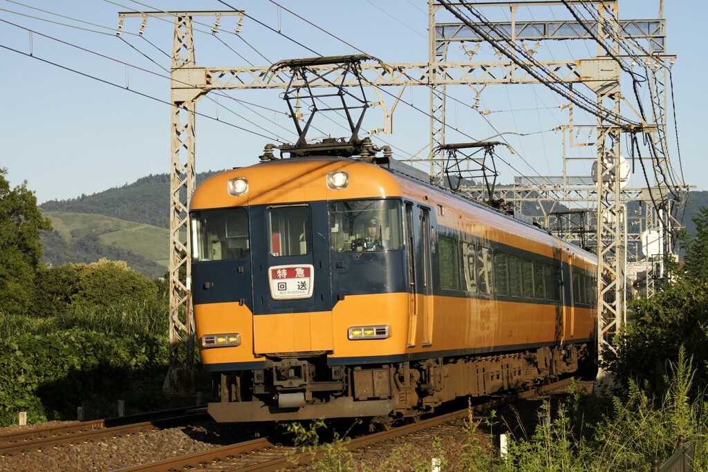 平城宮跡 近鉄電車と若草山