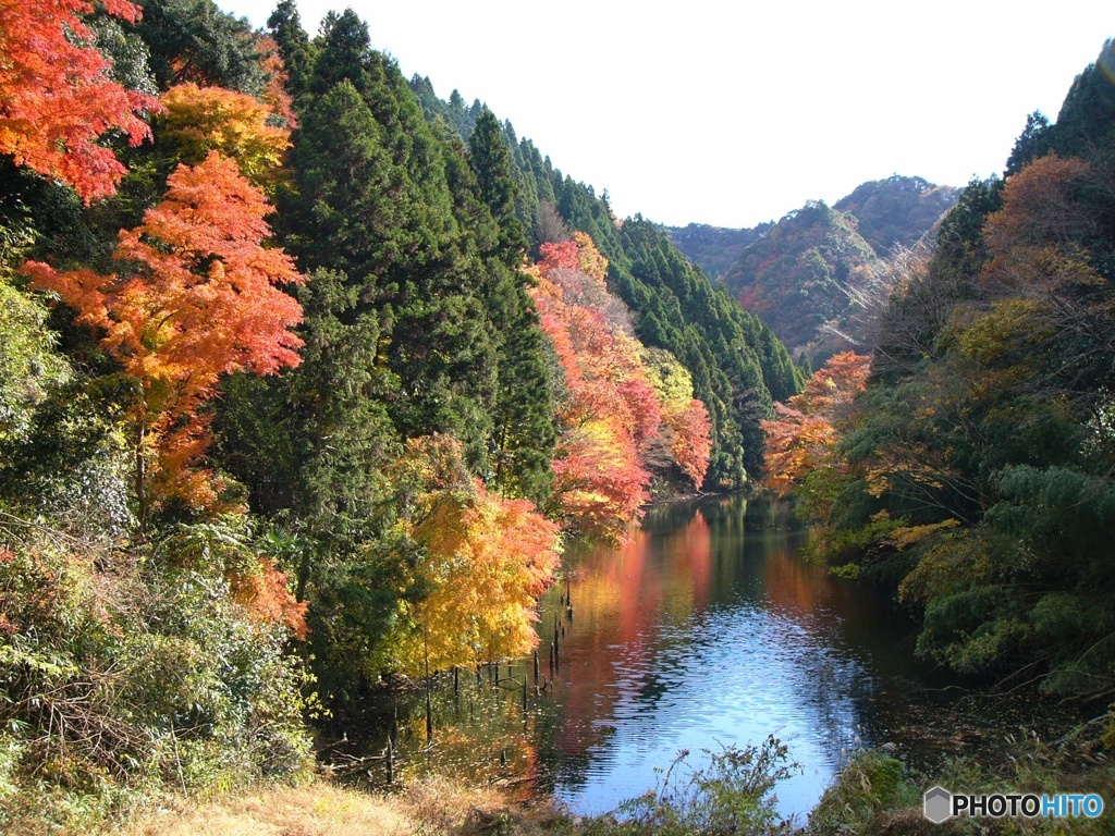 紅葉ダム2