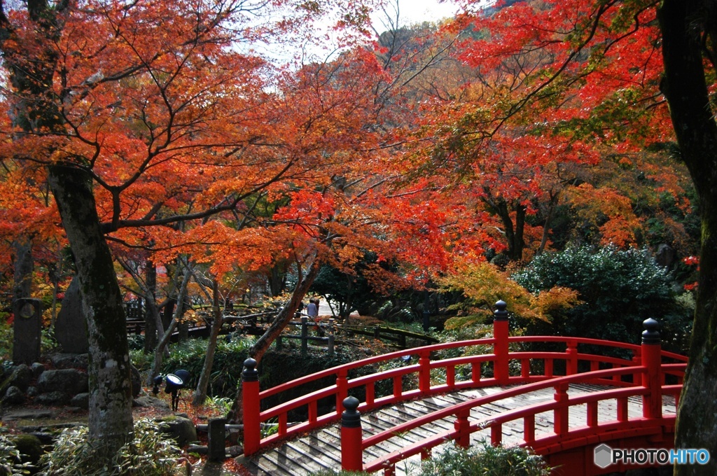 紅葉の公園2