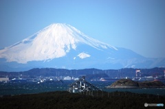 千葉からの富士