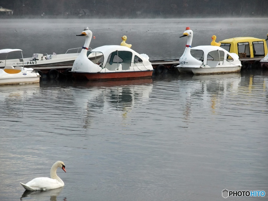 SWANとDUCK