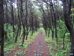 線路のある小道