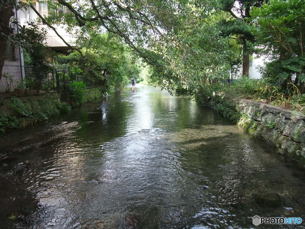 川中散歩道3