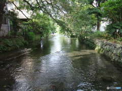 川中散歩道3