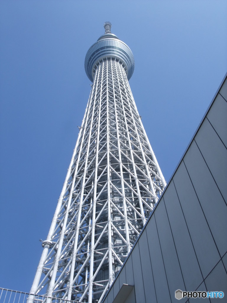 スカイツリー(本物)