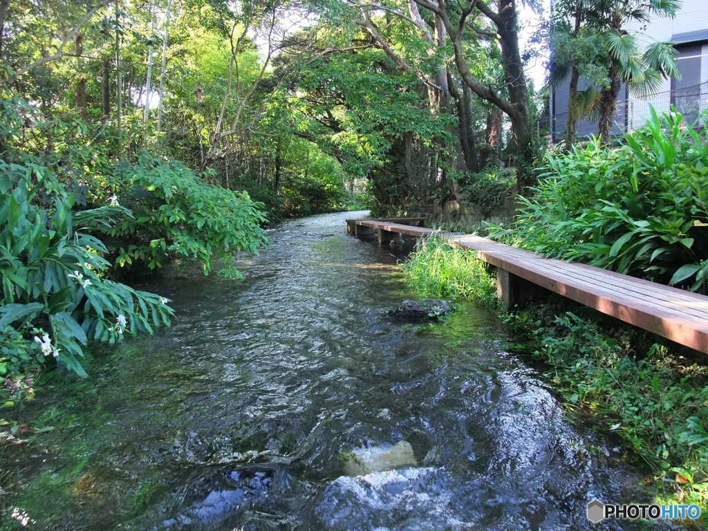 川中散歩道1