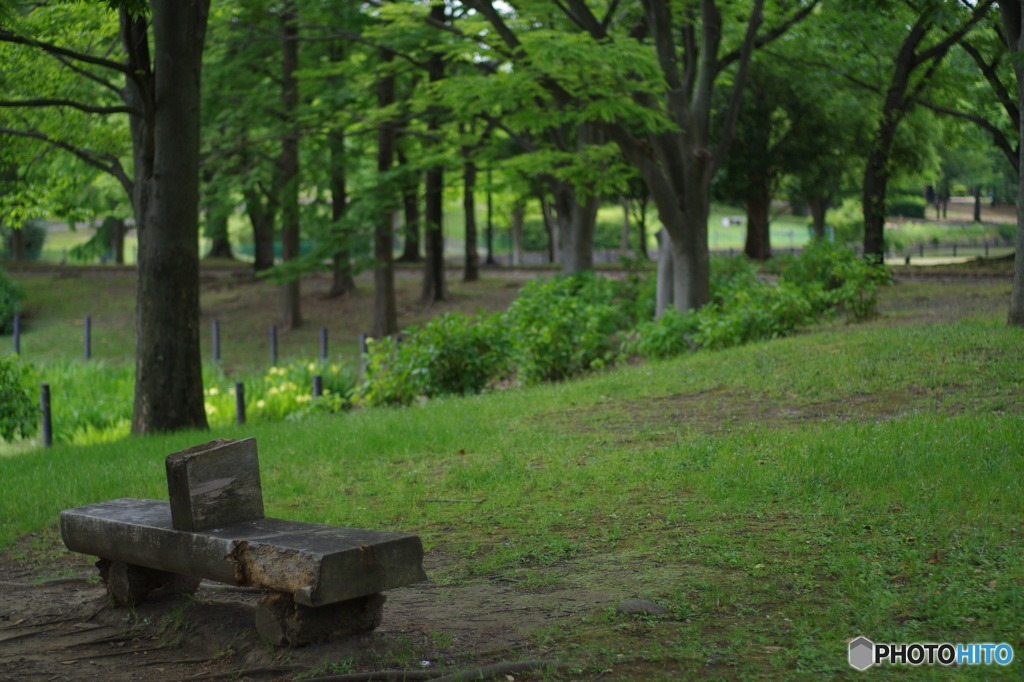 公園のベンチ