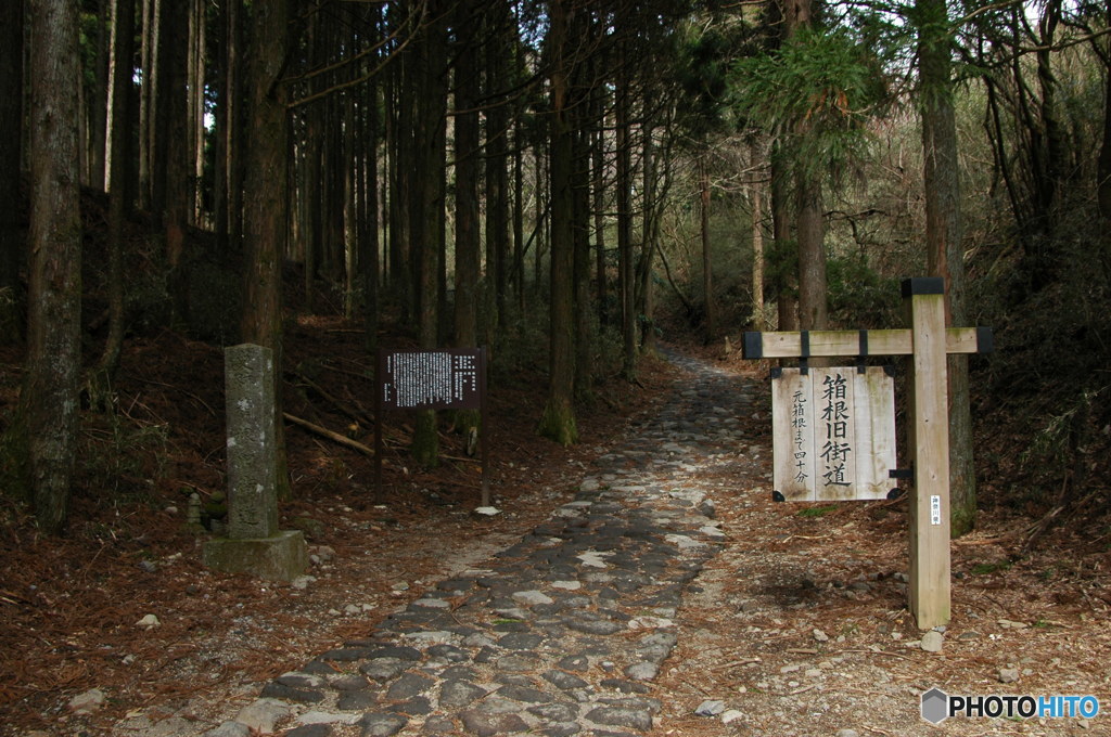箱根旧街道石畳