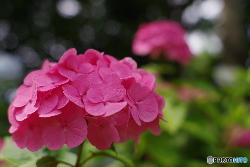 35mm1.4試写03