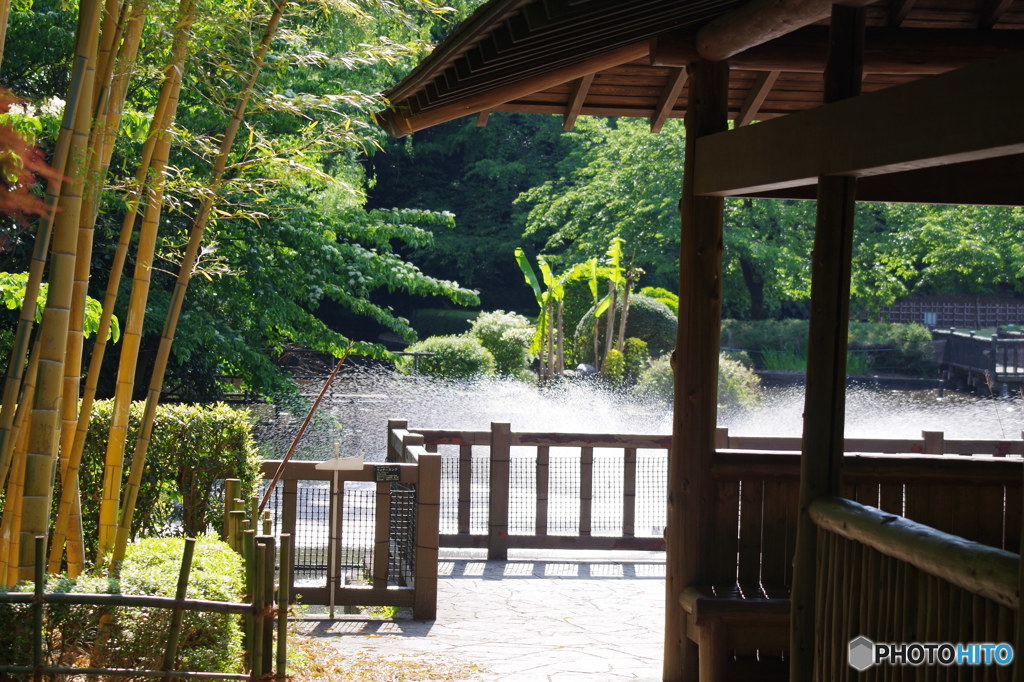 初夏の陽気