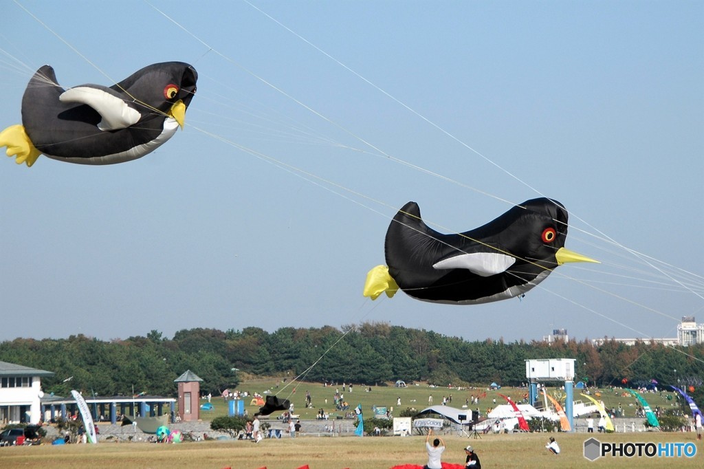 空飛ぶペンギン