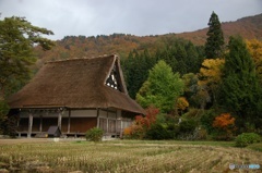 白川郷01