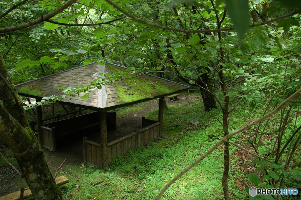 緑のある東屋