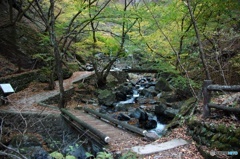 竜化の滝-遊歩道