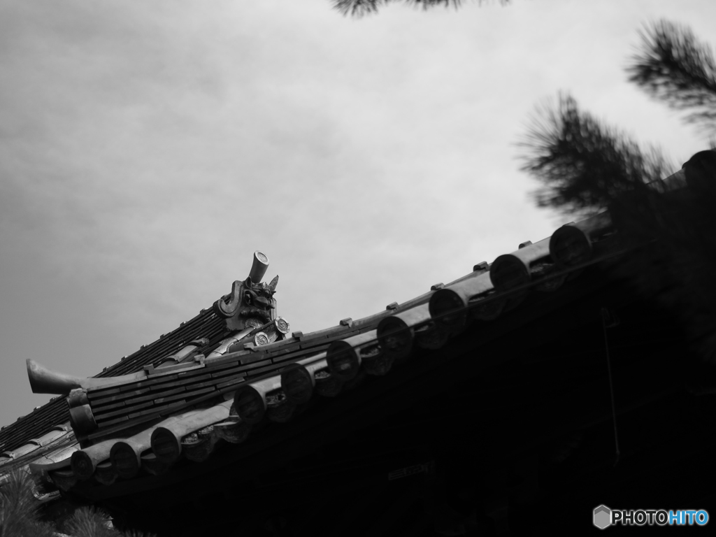 良い面構え