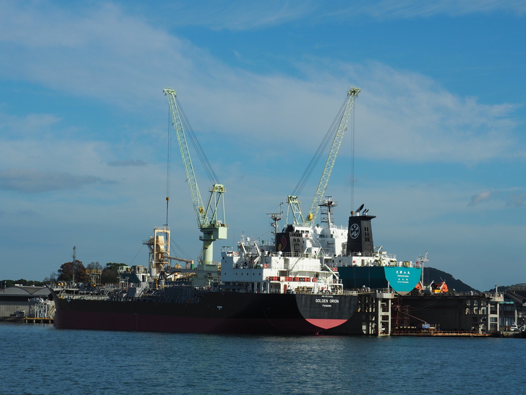 in the floating dock