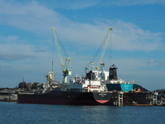 in the floating dock