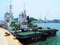 夏色の中に浮かんでいる