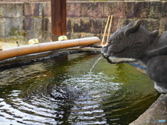 涼を感じる等心円