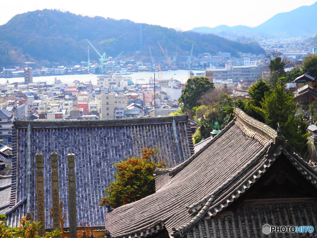 大屋根越しの風景