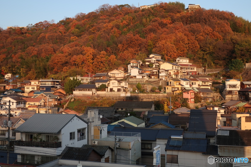 夕日の当たる斜面