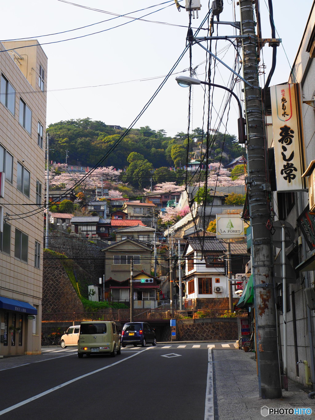 春色に彩られた山を…