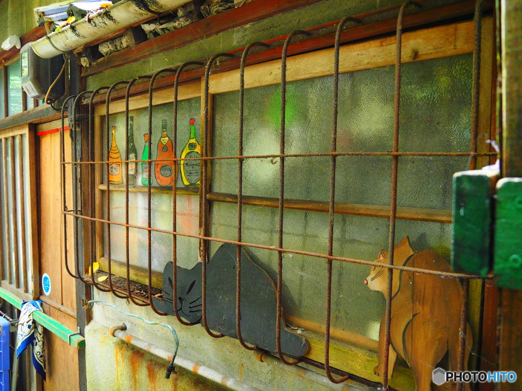 猫BAR？