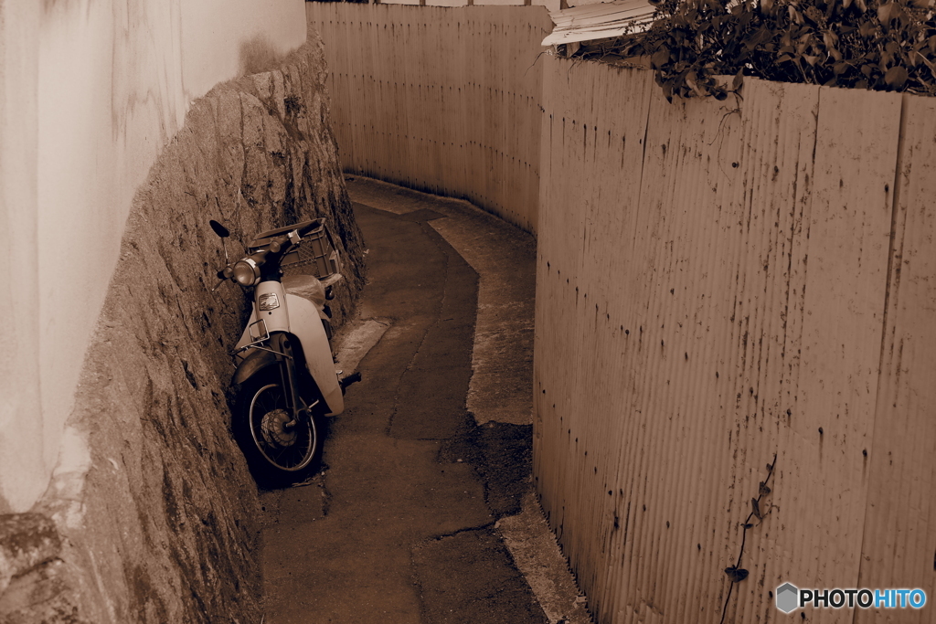 路地の一部と化している