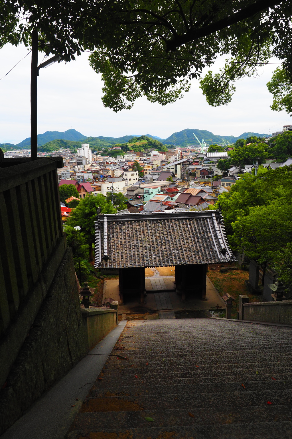 山門越しの風景