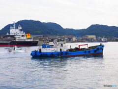 海往かば