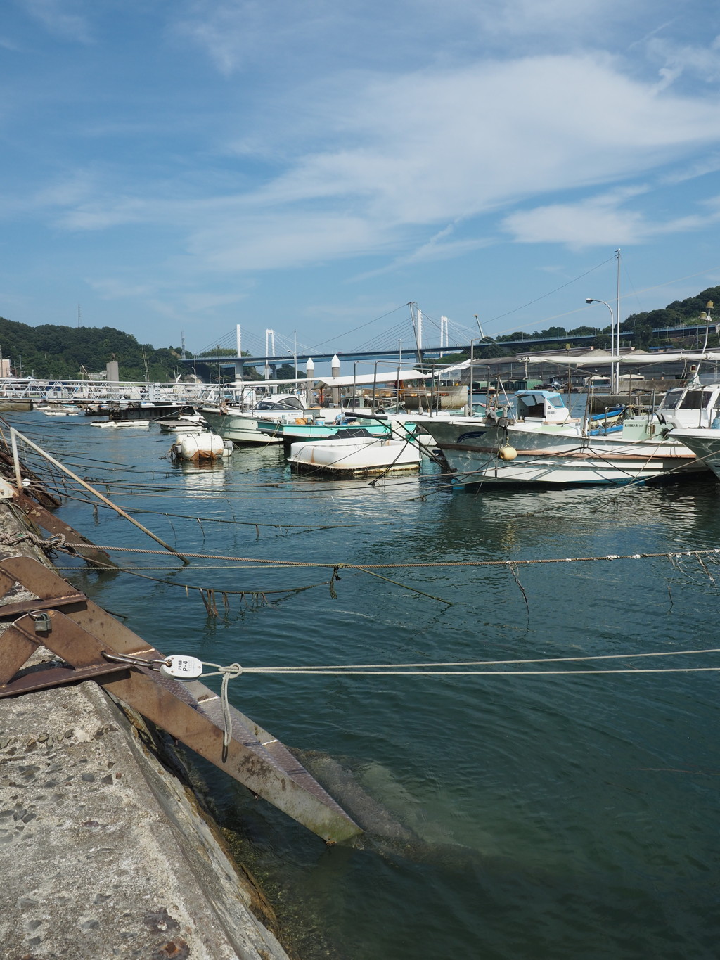 漁港　海への階段に涼を感じて