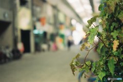 商店街の昼下がり