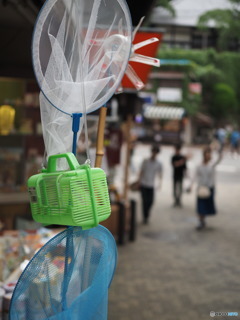 夏休み^^