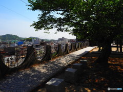 心地よい風の通り道